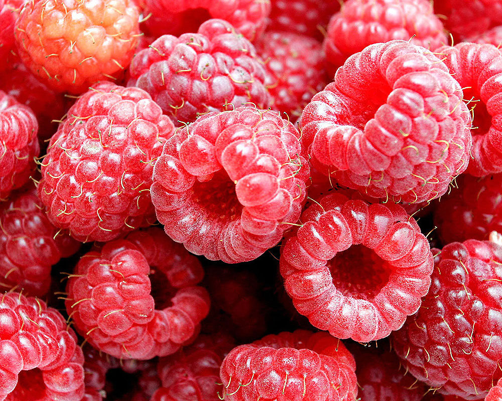 food%20(2)