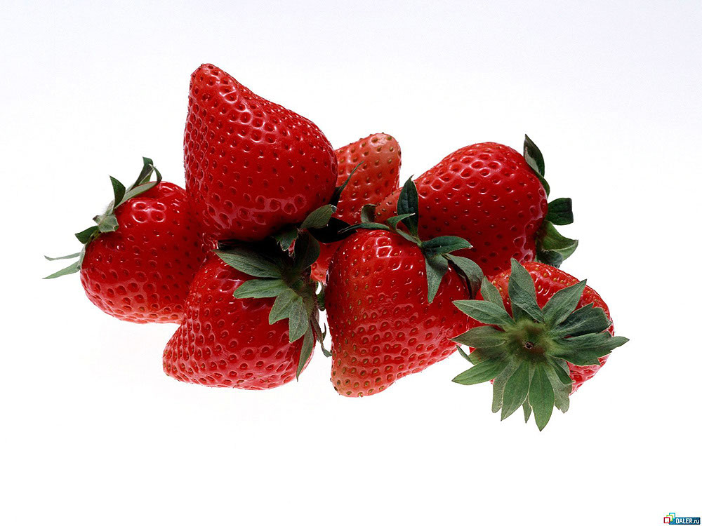 food%20(32)