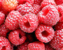 food%20(2)