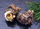 food%20(64)