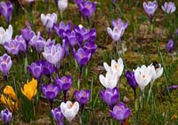 IMGP2075_X800