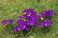 IMGP2093_X800