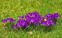 IMGP2094_X800