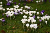 IMGP2111_X800