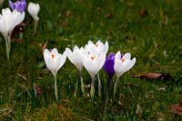 IMGP2114_X800
