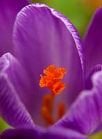 IMGP2169_Y816
